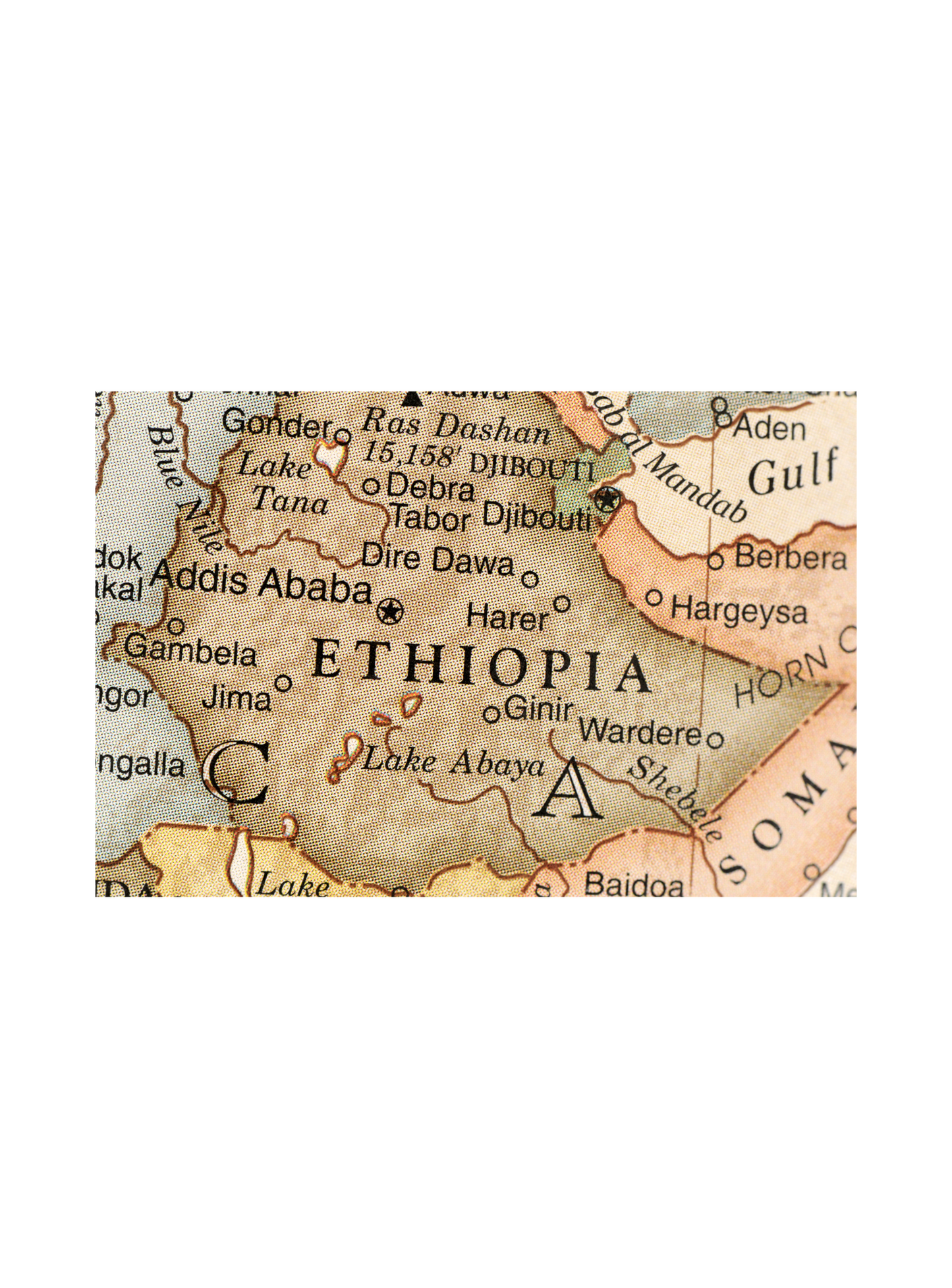 Ethiopia Organic Limu