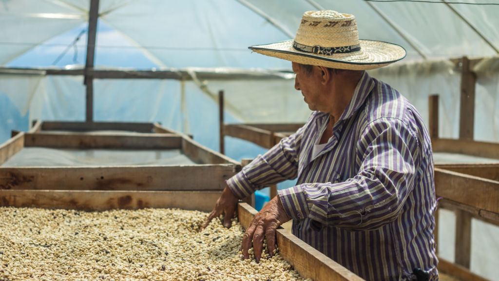 Colombia El Tiple Supremo