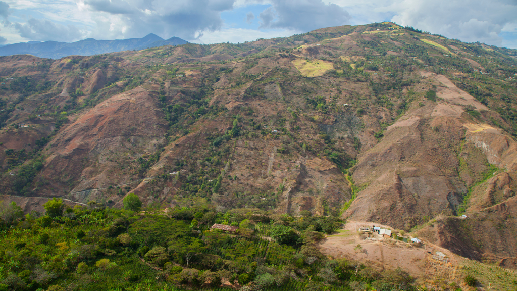 Colombia El Tiple Supremo